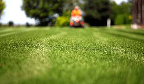 Grass with Man on Lawn Mover in Back for Commercial Lawn Care in Brighton, Broomfield, Erie, Thornton, Westminster