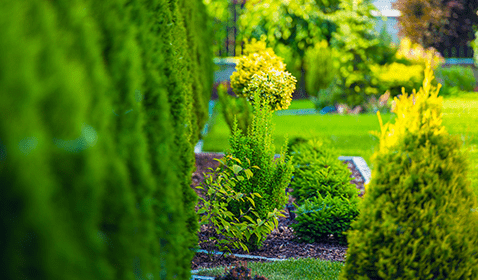 Backyard Landscaping in Broomfield, CO, Thornton, CO and Nearby Cities