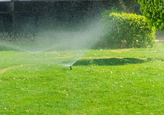 Lawn Sprinkler System in Thornton, CO