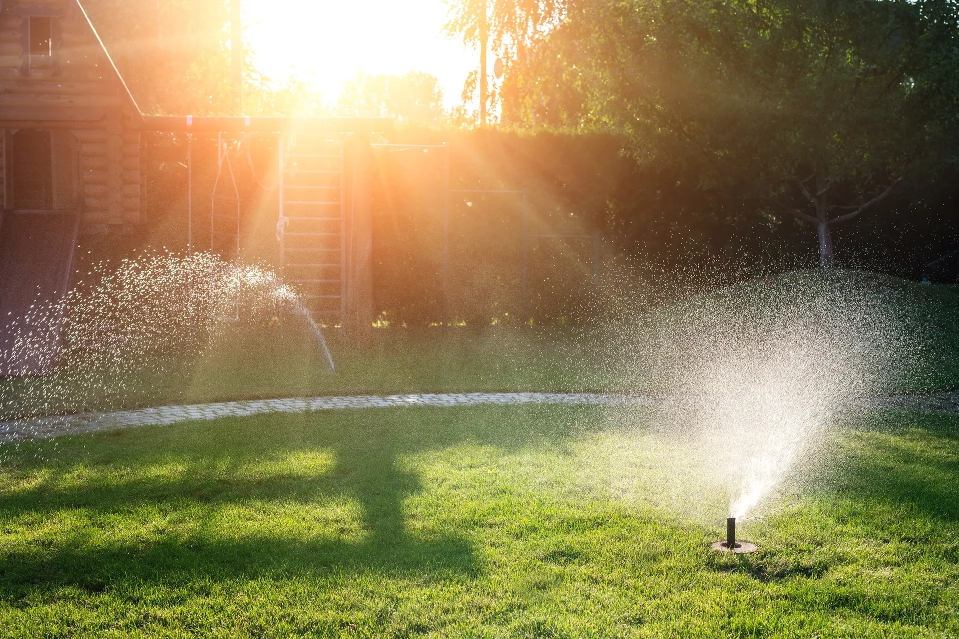 Sprinklers that had Lawn Sprinkler Repair in Brighton, CO, Thorton, Westminster, CO, and Nearby Cities