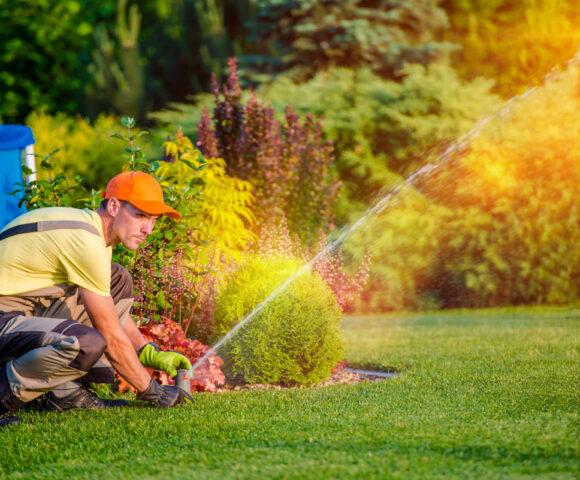 Backyard Landscaping in Thornton, CO, Broomfield, CO and Surrounding Areas