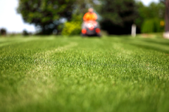 Commercial Lawn Mowing Client in Broomfield, CO